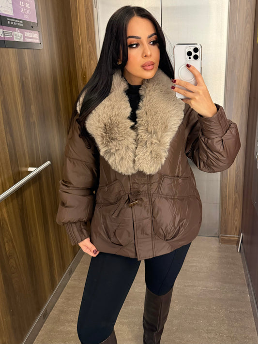 Belle Kahverengi Mont